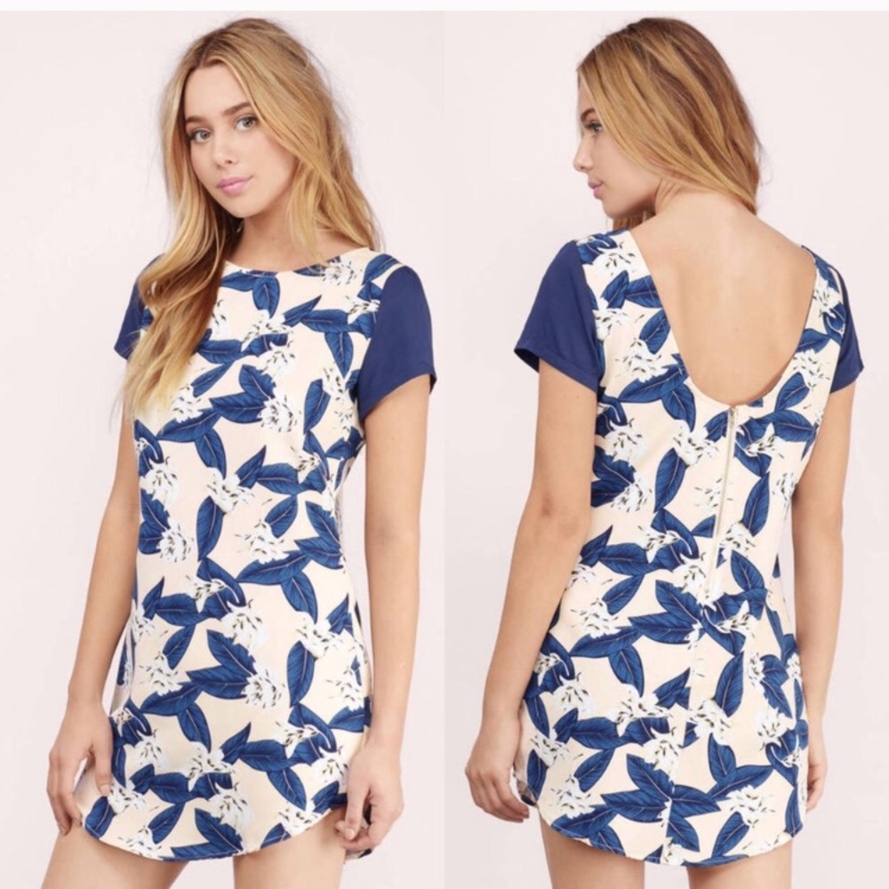Tobi Dress Navy and Creme